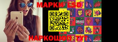 стаф Кимры