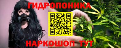 дживик Кингисепп