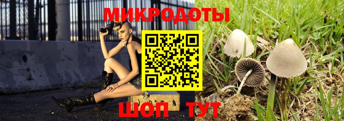 Псилоцибиновые грибы Psilocybine cubensis  Вход с VPN  Красный Сулин  Псилоцибиновые грибы GOLDEN TEACHER 